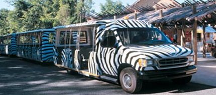  Tram to Wild Africa at Binder Park Zoo